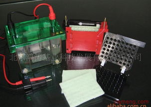 鴻濤基業(yè)化妝品加盟連鎖 開啟創(chuàng)業(yè)新篇章，火爆招商進行中